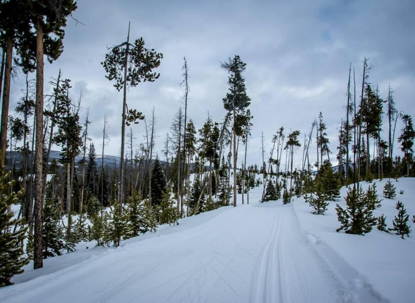 The Loose Moose Cabin #9 At Downtown Grand Lake غراند ليك المظهر الخارجي الصورة